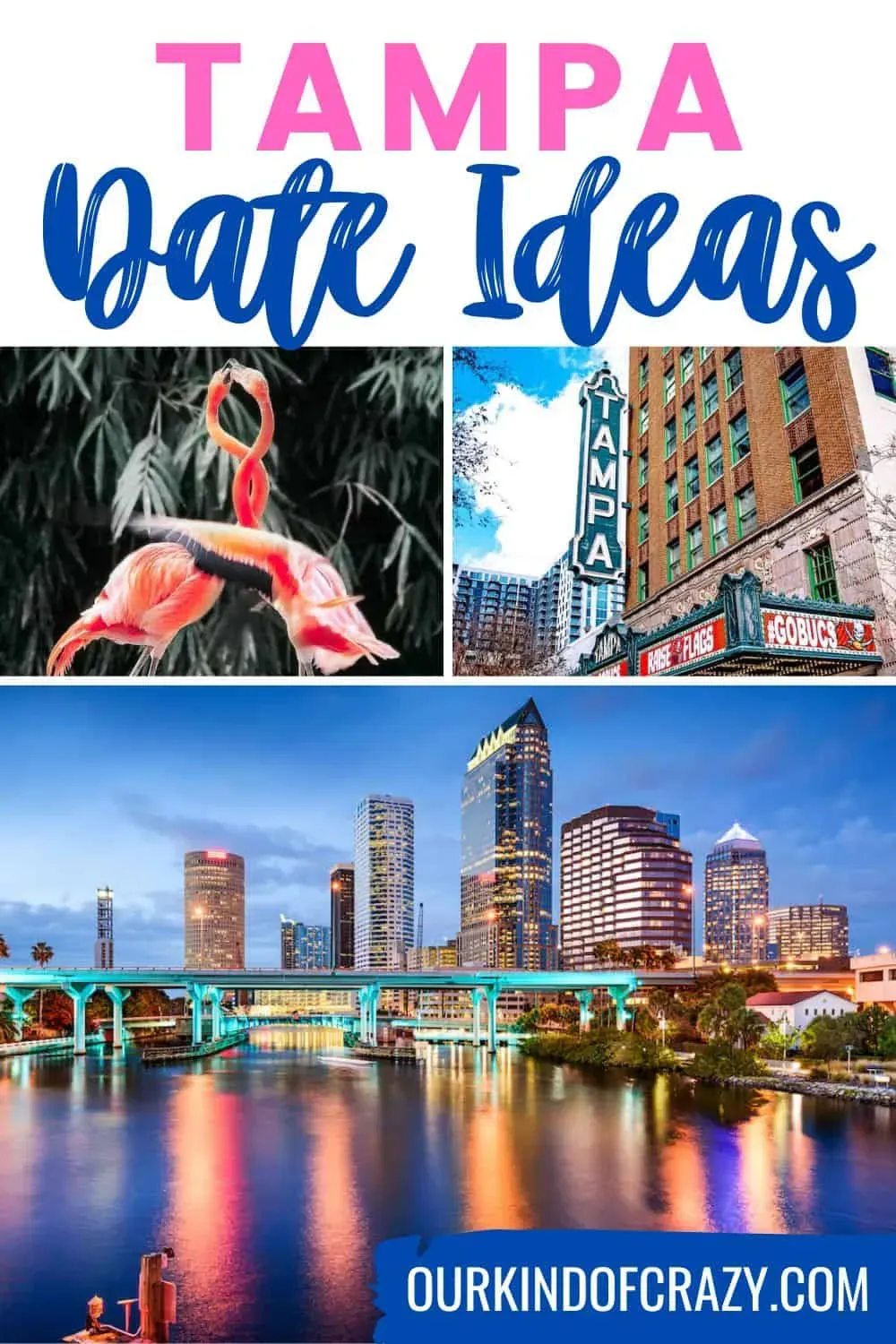 Where to Find Unique Late Night Date Ideas Tampa